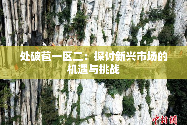 处破苞一区二：探讨新兴市场的机遇与挑战