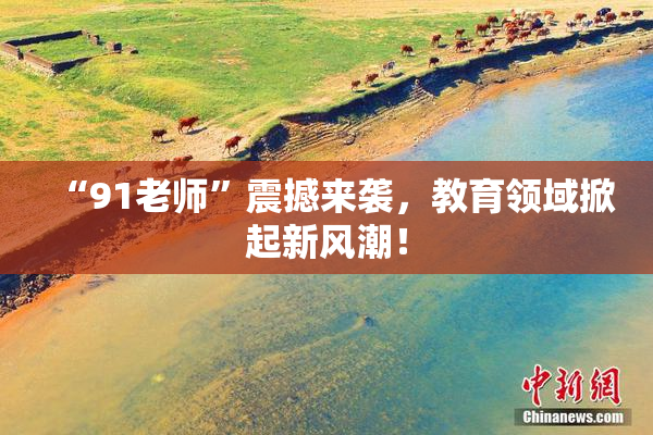 “91老师”震撼来袭，教育领域掀起新风潮！