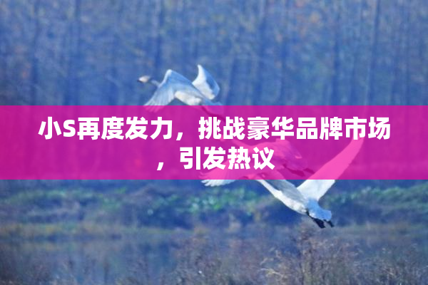 小S再度发力，挑战豪华品牌市场，引发热议