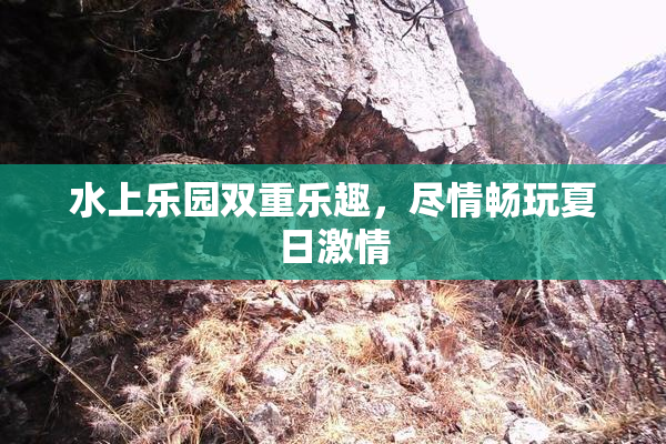 水上乐园双重乐趣，尽情畅玩夏日激情