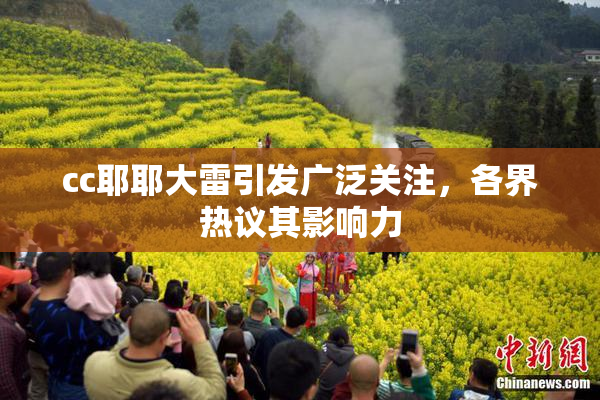 cc耶耶大雷引发广泛关注，各界热议其影响力
