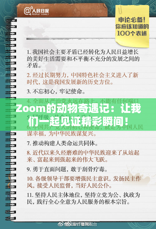 Zoom的动物奇遇记：让我们一起见证精彩瞬间！