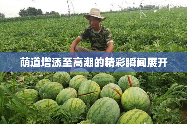 荫道增添至高潮的精彩瞬间展开