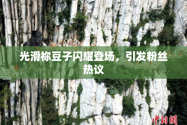 光滑祢豆子闪耀登场，引发粉丝热议