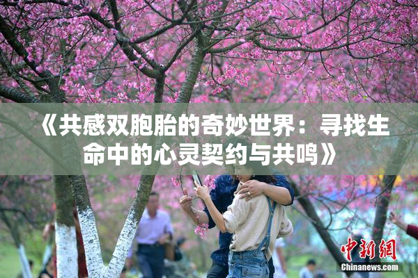 《共感双胞胎的奇妙世界：寻找生命中的心灵契约与共鸣》