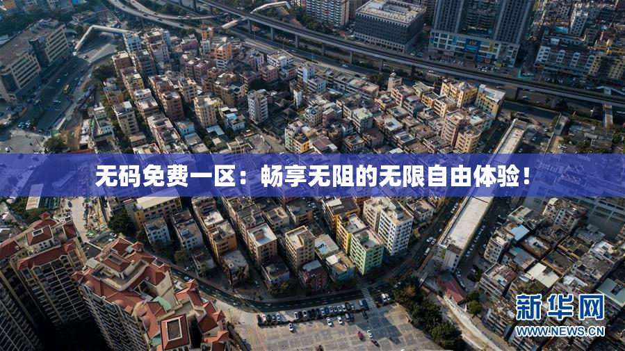 无码免费一区：畅享无阻的无限自由体验！