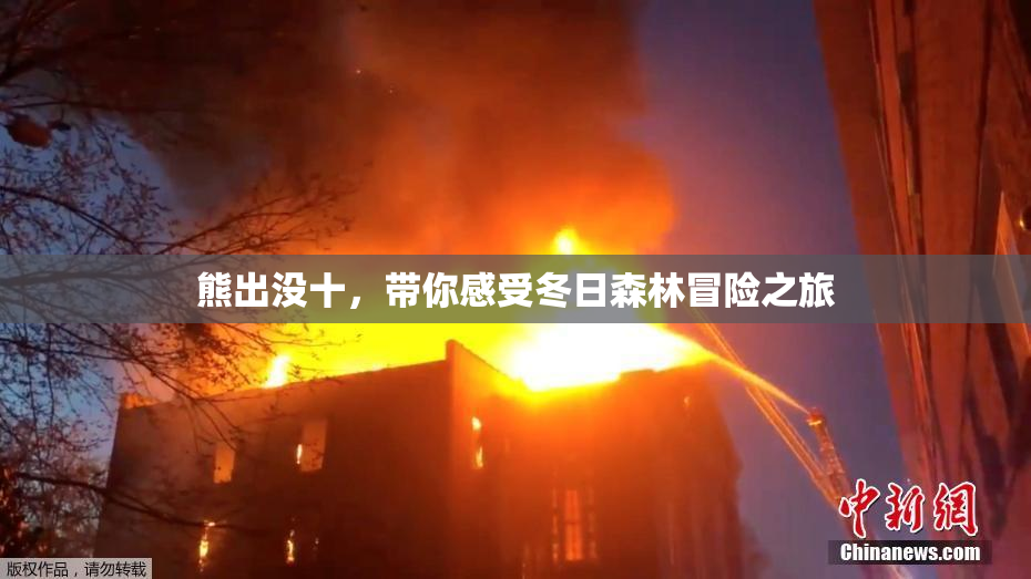 熊出没十，带你感受冬日森林冒险之旅