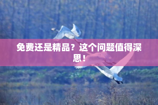 免费还是精品？这个问题值得深思！