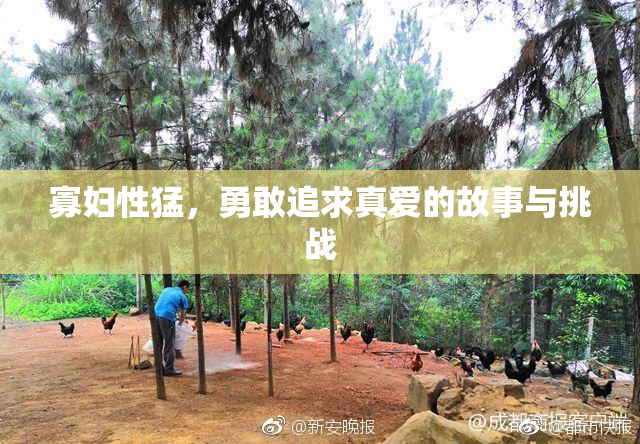 寡妇性猛，勇敢追求真爱的故事与挑战