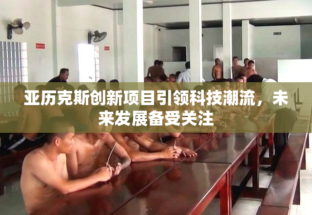 亚历克斯创新项目引领科技潮流，未来发展备受关注