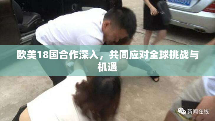 欧美18国合作深入，共同应对全球挑战与机遇