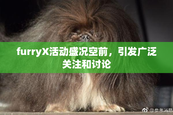 furryX活动盛况空前，引发广泛关注和讨论