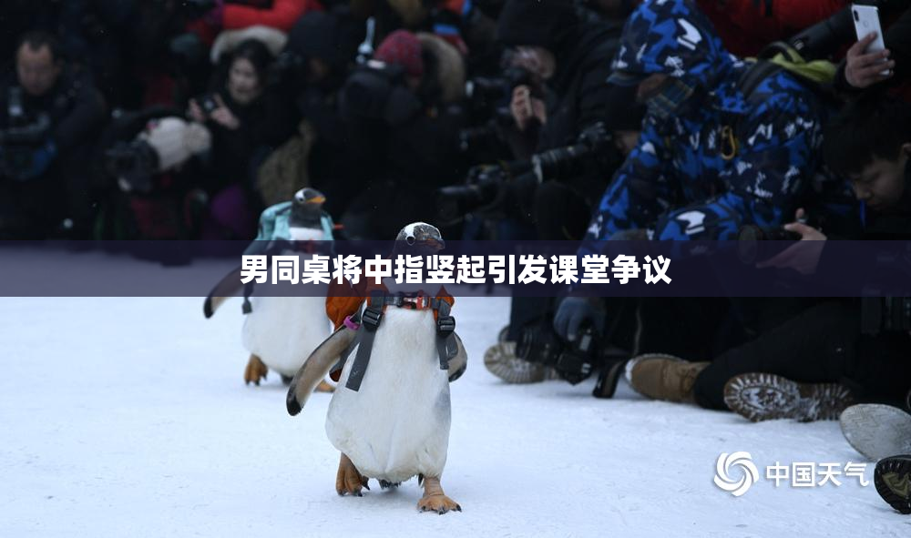 男同桌将中指竖起引发课堂争议