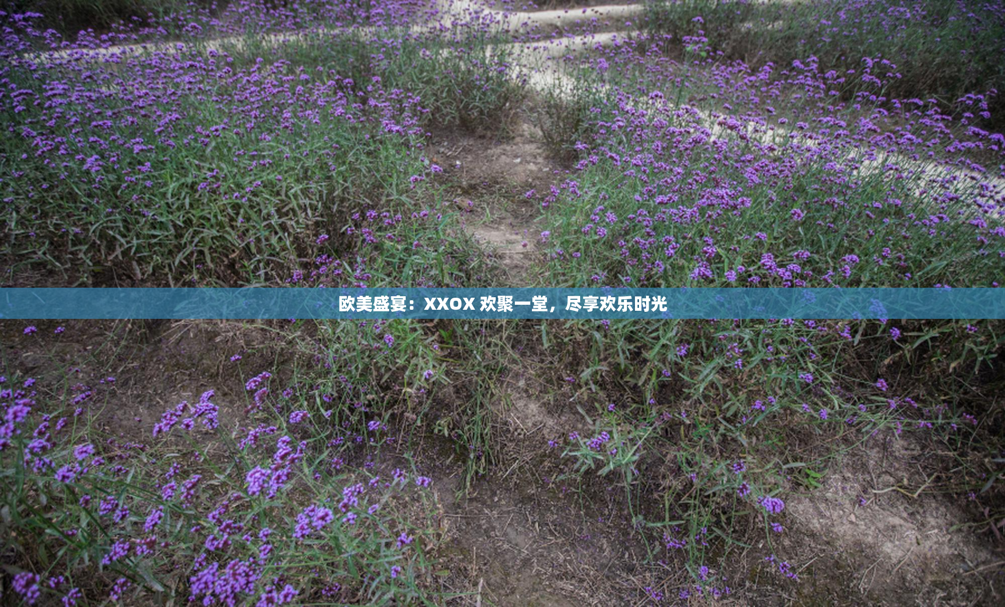 欧美盛宴：XXOX 欢聚一堂，尽享欢乐时光