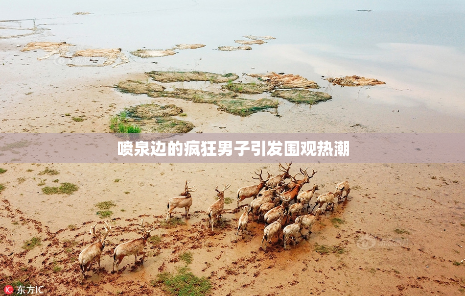 喷泉边的疯狂男子引发围观热潮