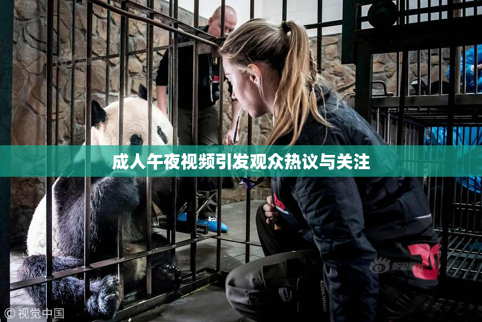 成人午夜视频引发观众热议与关注