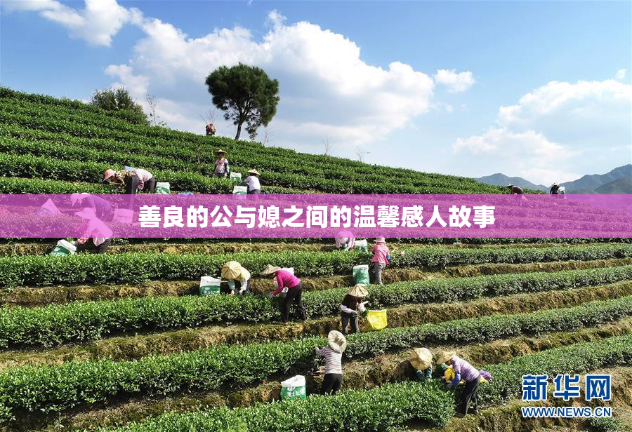 善良的公与媳之间的温馨感人故事