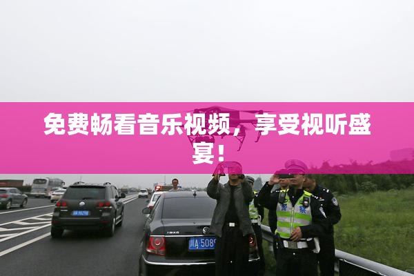 免费畅看音乐视频，享受视听盛宴！