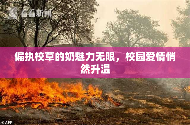 偏执校草的奶魅力无限，校园爱情悄然升温
