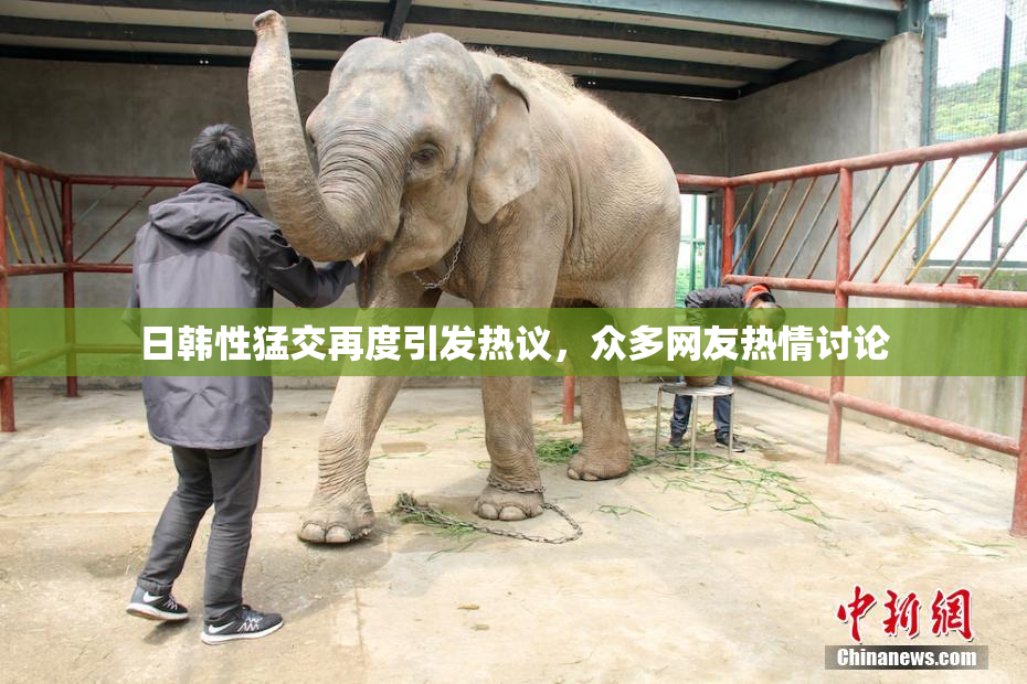 日韩性猛交再度引发热议，众多网友热情讨论