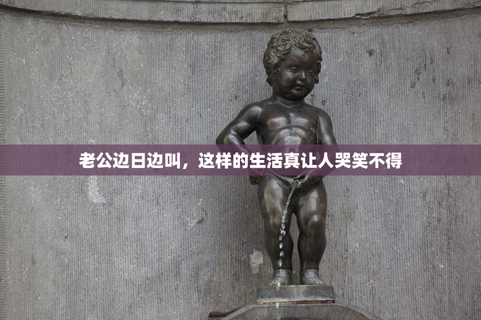 老公边日边叫，这样的生活真让人哭笑不得