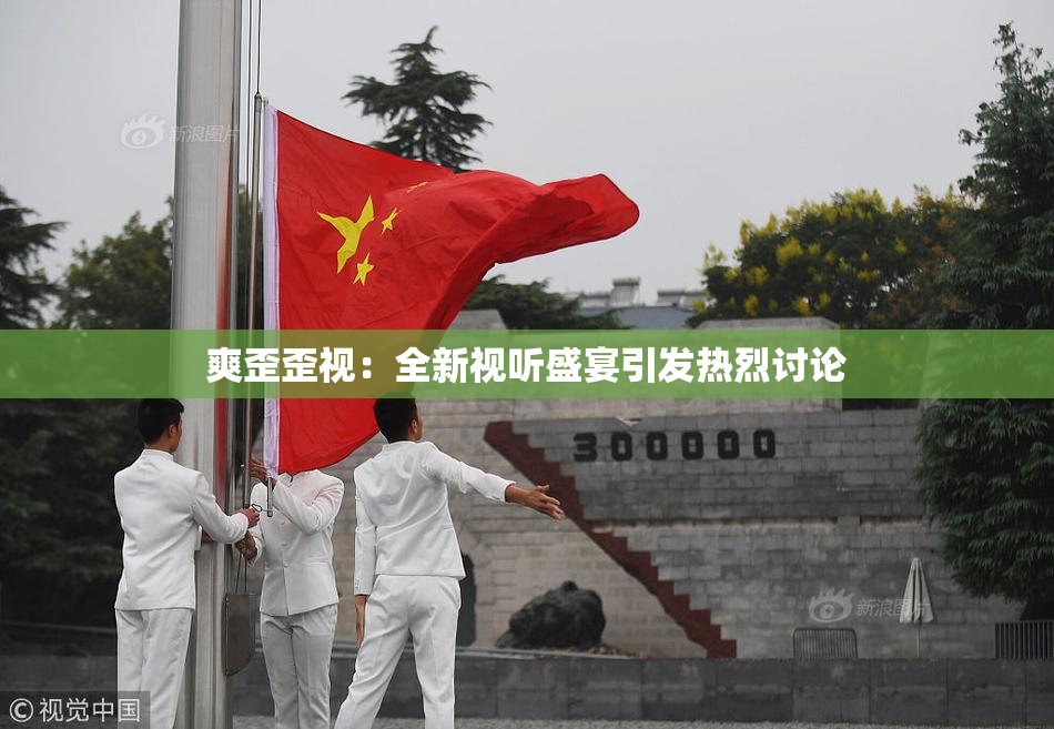 爽歪歪视：全新视听盛宴引发热烈讨论