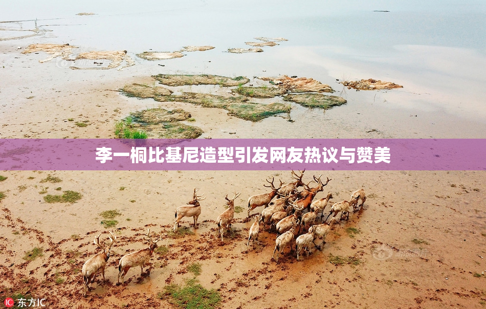 李一桐比基尼造型引发网友热议与赞美