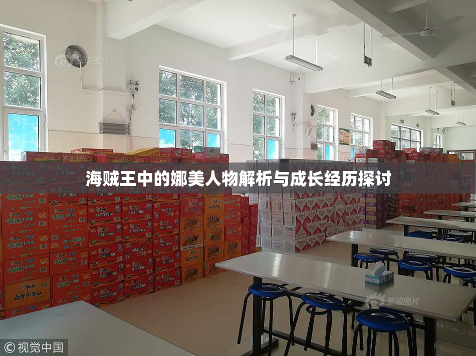 海贼王中的娜美人物解析与成长经历探讨