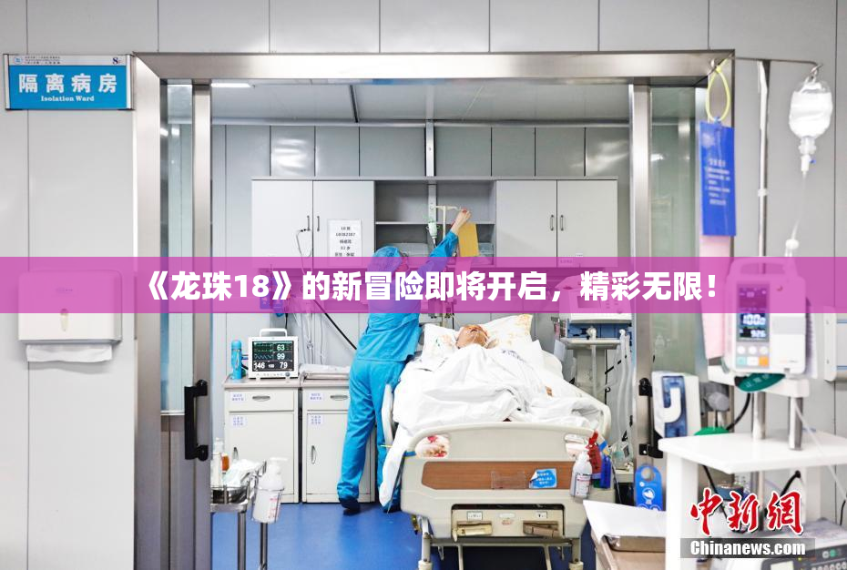 《龙珠18》的新冒险即将开启，精彩无限！