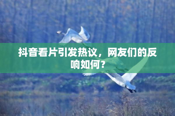 抖音看片引发热议，网友们的反响如何？