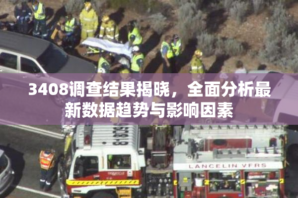 3408调查结果揭晓，全面分析最新数据趋势与影响因素