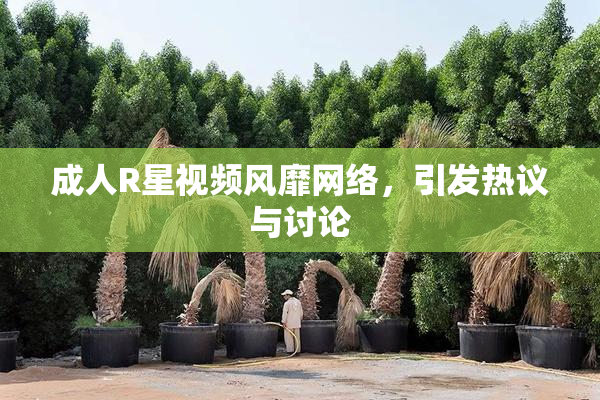 成人R星视频风靡网络，引发热议与讨论