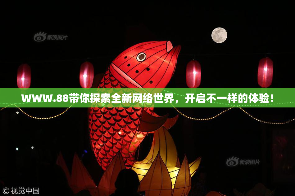 WWW.88带你探索全新网络世界，开启不一样的体验！