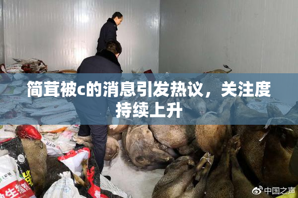 简茸被c的消息引发热议，关注度持续上升