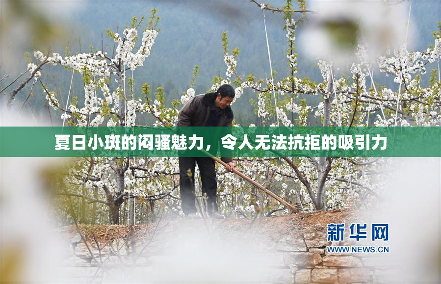 夏日小斑的闷骚魅力，令人无法抗拒的吸引力