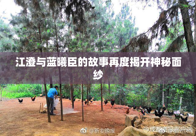 江澄与蓝曦臣的故事再度揭开神秘面纱
