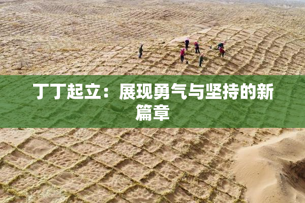 丁丁起立：展现勇气与坚持的新篇章