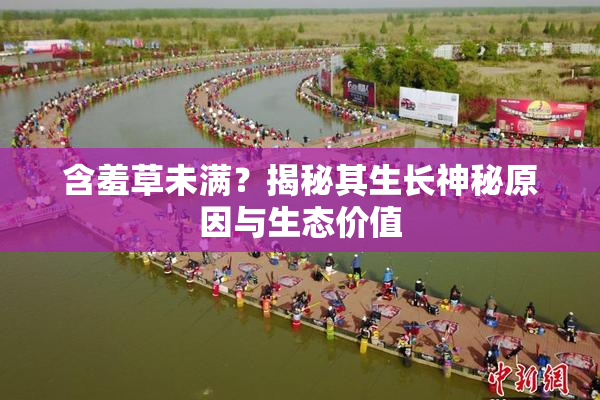 含羞草未满？揭秘其生长神秘原因与生态价值