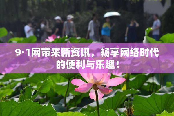 9·1网带来新资讯，畅享网络时代的便利与乐趣！