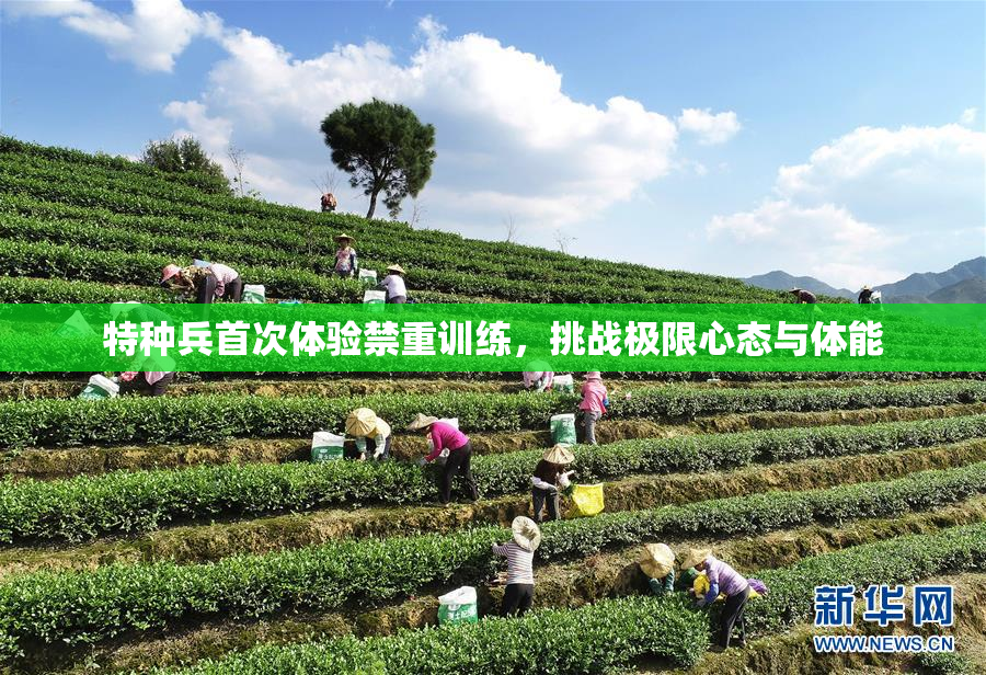 特种兵首次体验禁重训练，挑战极限心态与体能