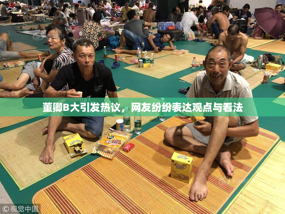 董卿B大引发热议，网友纷纷表达观点与看法