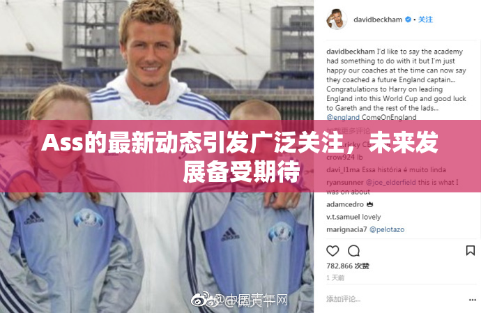 Ass的最新动态引发广泛关注，未来发展备受期待