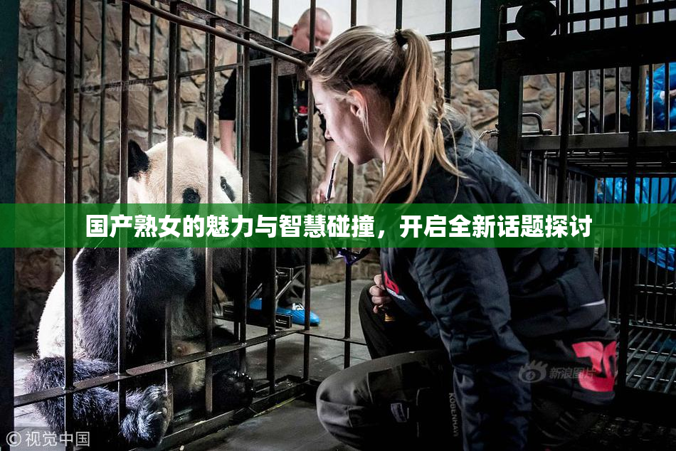国产熟女的魅力与智慧碰撞，开启全新话题探讨