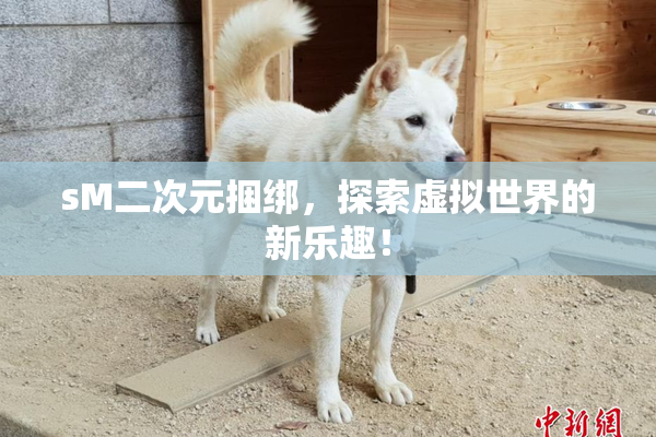 sM二次元捆绑，探索虚拟世界的新乐趣！
