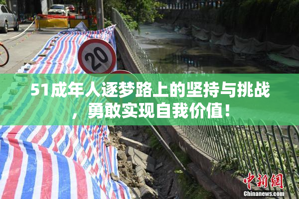 51成年人逐梦路上的坚持与挑战，勇敢实现自我价值！
