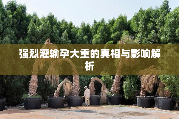 强烈灌输孕大重的真相与影响解析