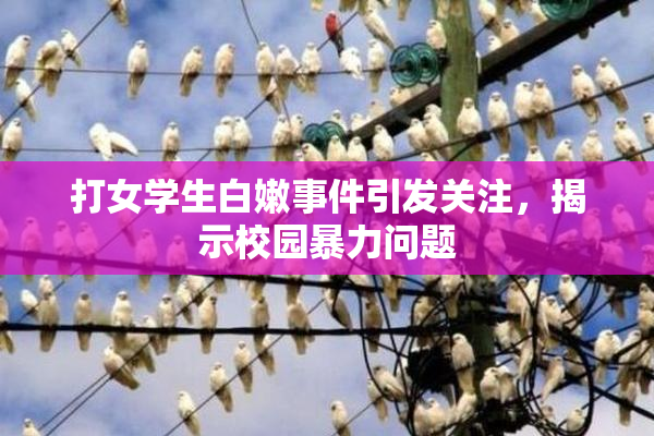 打女学生白嫩事件引发关注，揭示校园暴力问题