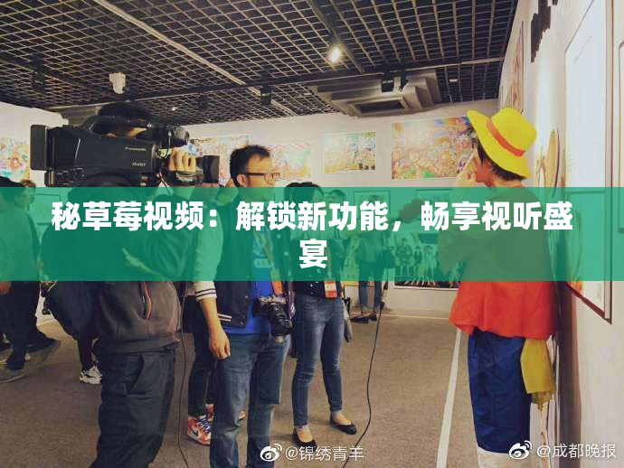 秘草莓视频：解锁新功能，畅享视听盛宴