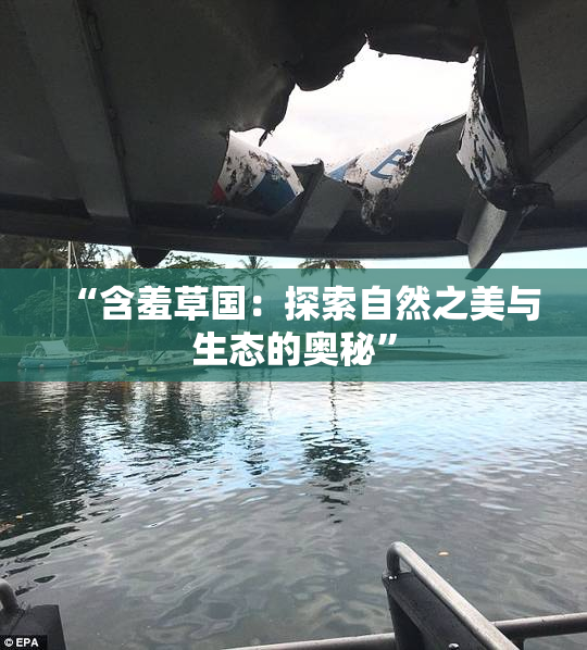 “含羞草国：探索自然之美与生态的奥秘”