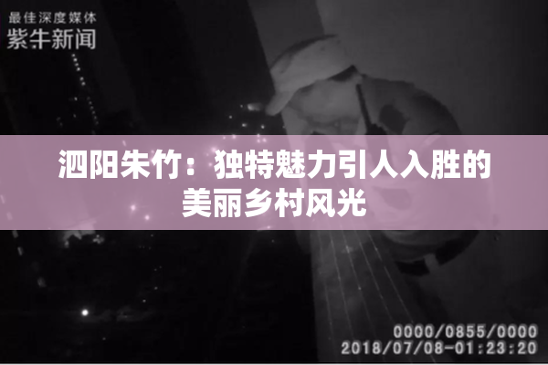 泗阳朱竹：独特魅力引人入胜的美丽乡村风光